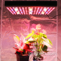 フルスペクトルグローライトLED電球屋内植物